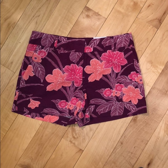 LOFT Pants - NEW! LOFT Riviera Printed Short 4” Inseam Size 6